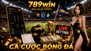 Cá cược bóng đá 789win
