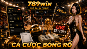 Cá cược bóng rổ 789win